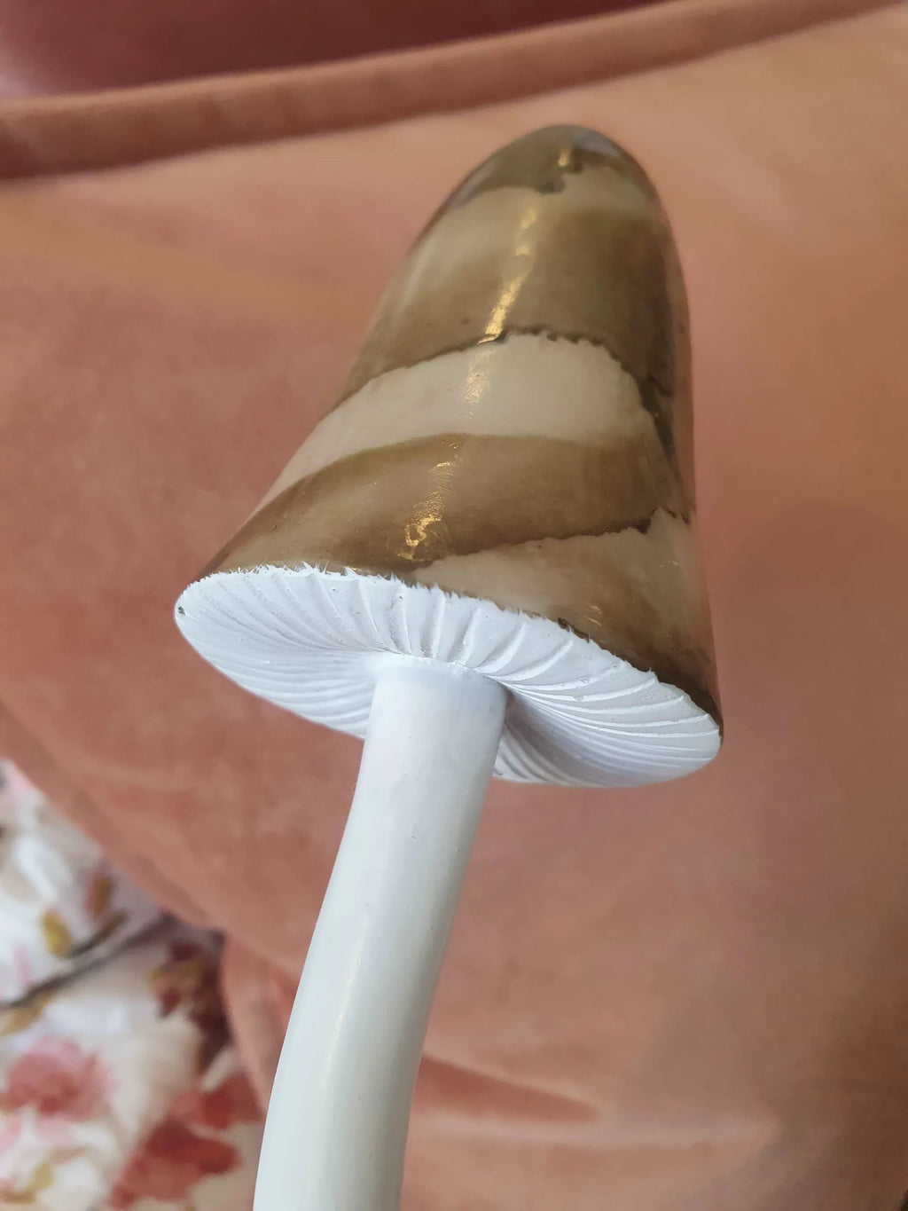 A Lot sieni ruskea 26 cm