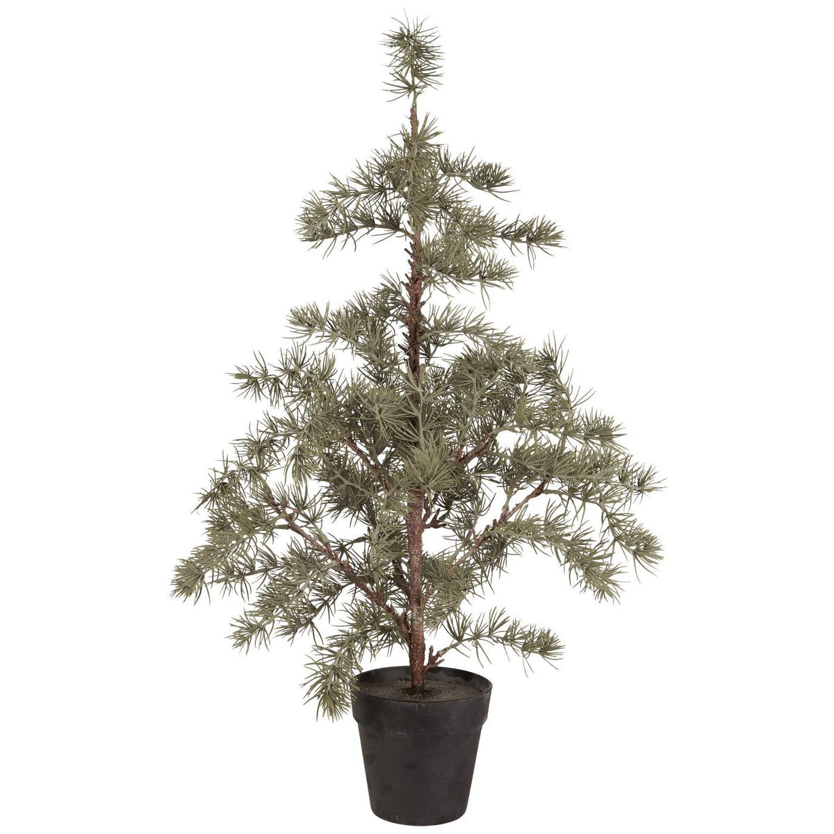 Ib Laursen koristepuu seetri 80 cm