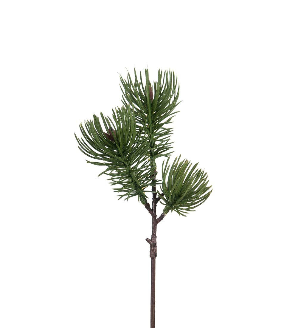 Mr Plant mänty koristeoksa 28 cm